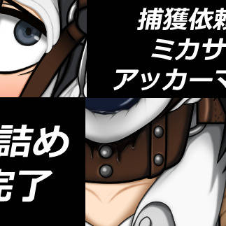 捕獲依頼 ミカサ・アッカーマン お届け中