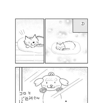 コロとご近所さん　第16話　にゃあこ先生の教え