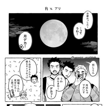 月とアリ