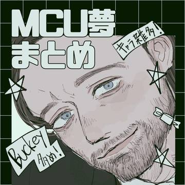 MCU夢まとめ