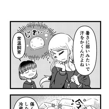 ボコボコ飼育戯話.4