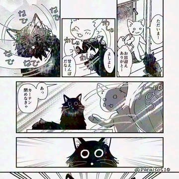 訳あり黒猫の生活2