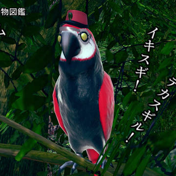 ピレリタリア野生動物図鑑「バスクオウム」