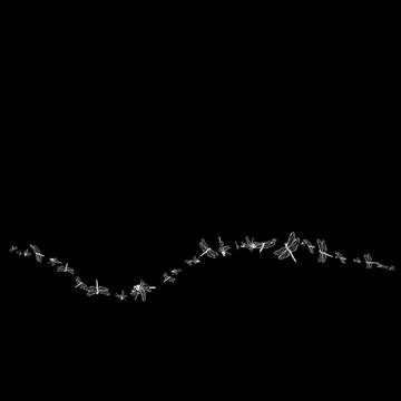 双蜻蛉(ふたとんぼ)