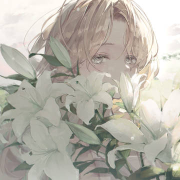 Lilium