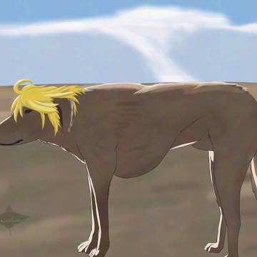 モンゴル犬ブチアゲ