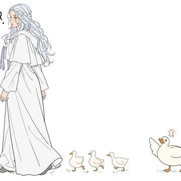Ducks