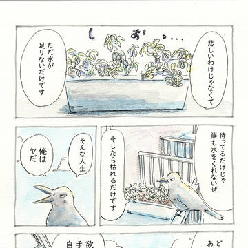 バシルとカラス