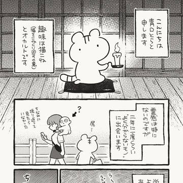 白い猫