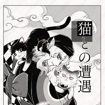 猫との遭遇