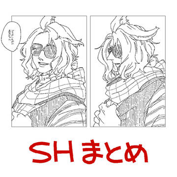 SHまとめ