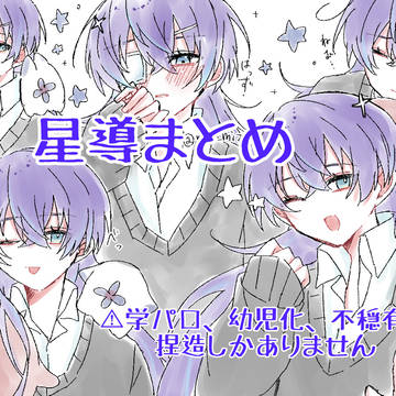 星導まとめ