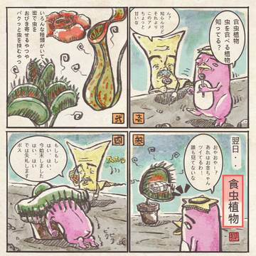 食虫植物