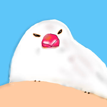 文鳥は液体？