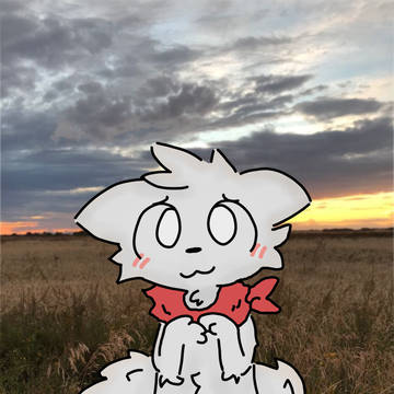 :3