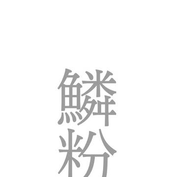 鱗粉