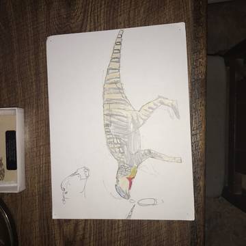 Coalhuilasaurus lipani