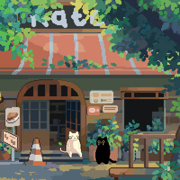 In the Afternoon