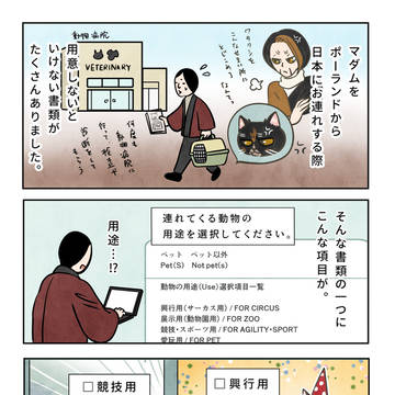 マダムの使用用途
