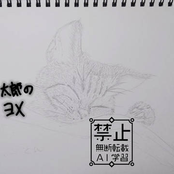 我が家のﾈｺﾁｬﾝ