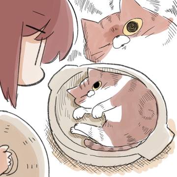 猫鍋