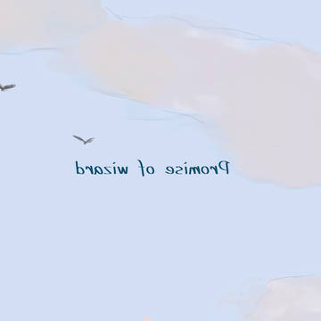 海