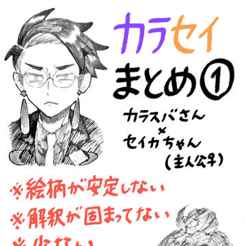 カラセイまとめ①