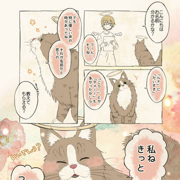自分の名前を勘違いしている子④