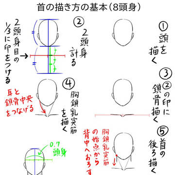 【講座】正しい比率の首の描き方