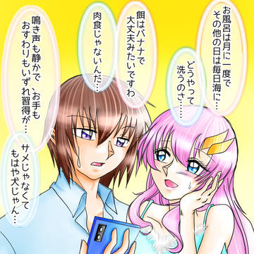 キラとラクスとサメたろう