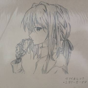 薇尔莉特·伊芙加登