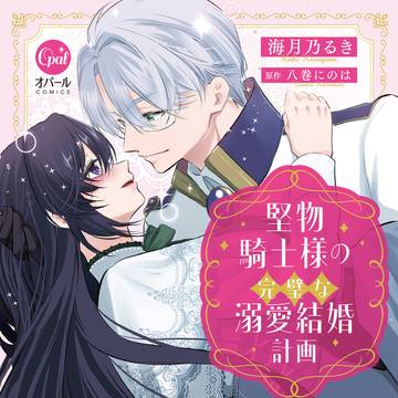 【お仕事情報】堅物騎士様の完璧な溺愛結婚計画【発売】
