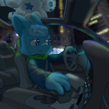 Night drive