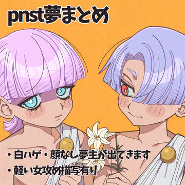 pnst夢まとめ
