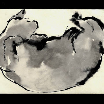 猫の気分の万華鏡[スケッチ]