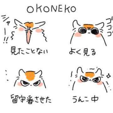 猫飼育日記7