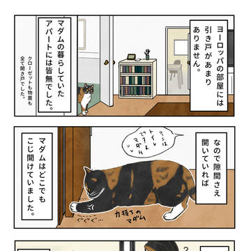引き戸を知らないマダムリリー