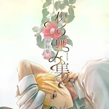 【11/16SPARK20day2閃華の刻】傷の帳/集(再録集)