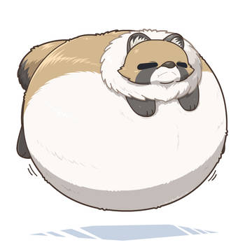 風船狸