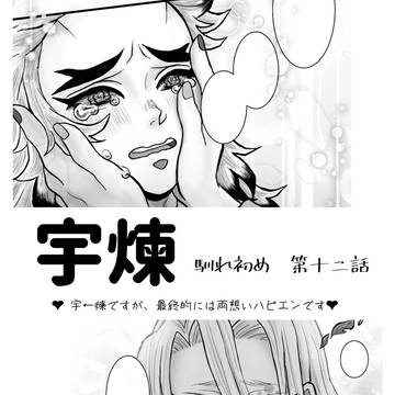 宇煉(キ学軸) 馴れ初め⑫