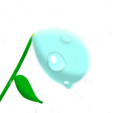 滴    一つの花弁