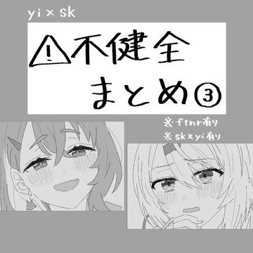 不健全skyiまとめ③