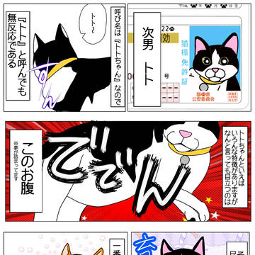 猫(の)まんま!⑤