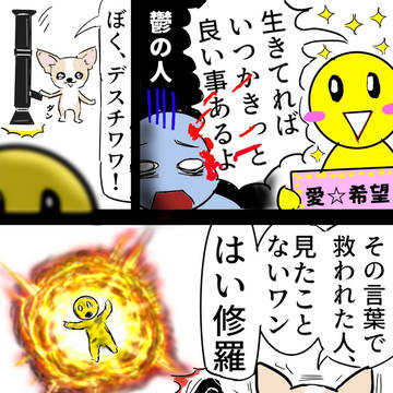 励ましが刺さる日に、チワワが現れた。