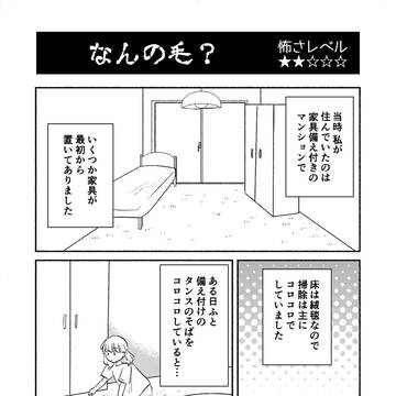 第４話怖さレベル★★☆☆☆「なんの毛？」