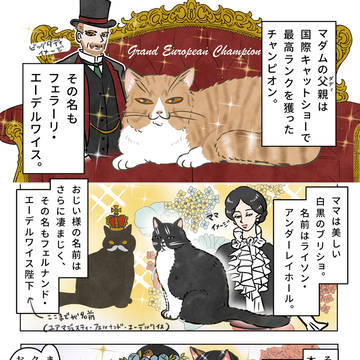 マダム・リリーの華麗なる一族🌹