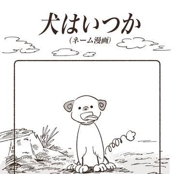 犬はいつか