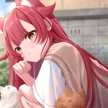 猫集会