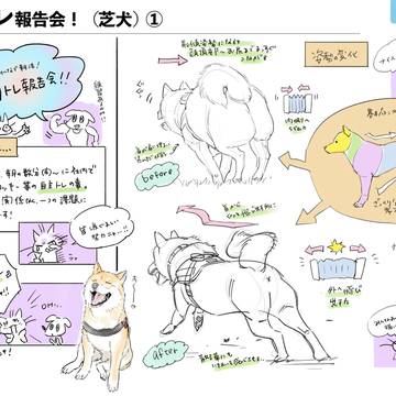 しば犬の描き方講座
