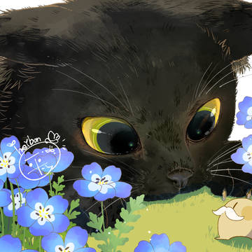 覗き見る黒猫🐈‍⬛🐾